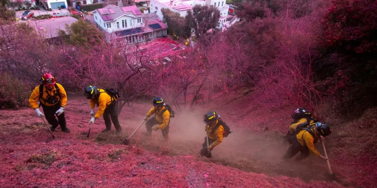 Yangın felaketini yaşayan Los Angeles kenti neden pembeye boyandı?