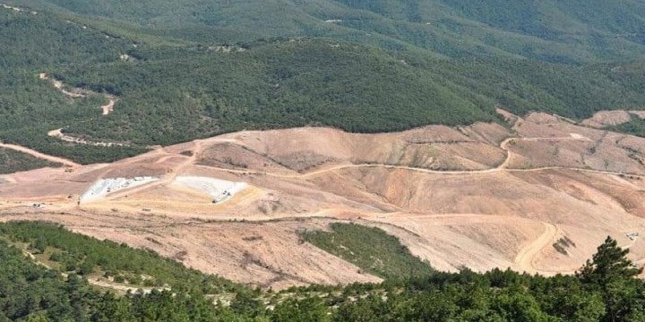 Kazdağları'ndaki ağaç katliamı mahkeme kararına rağmen devam ediyor